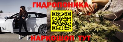 хмурый Малоярославец