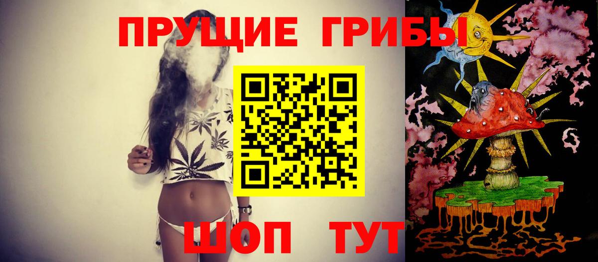 Псилоцибиновые грибы Psilocybine cubensis Орёл