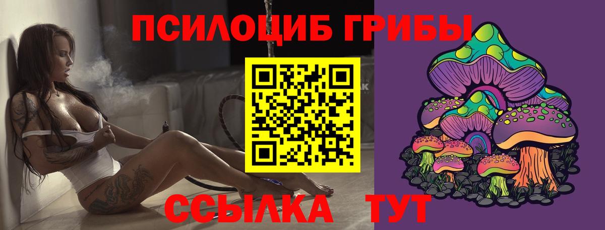 Псилоцибиновые грибы GOLDEN TEACHER  Вход с VPN  Орёл 